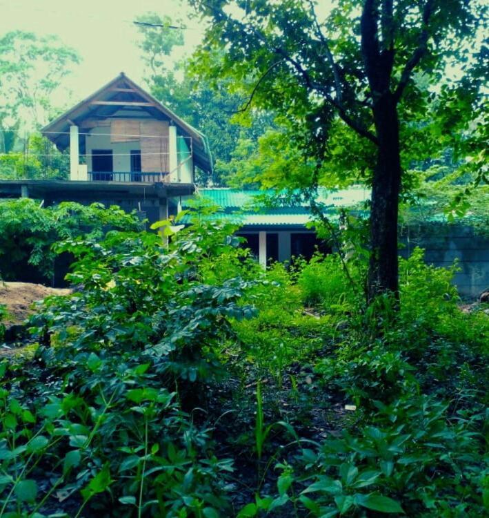 Habarana Dulwan Guest House Kültér fotó