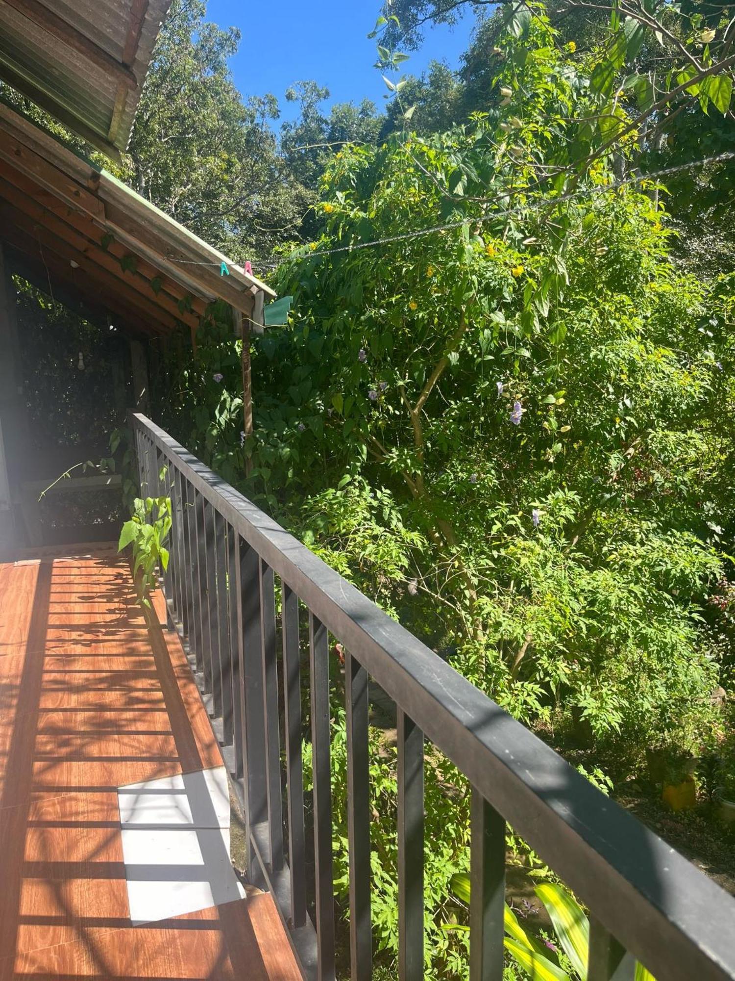Habarana Dulwan Guest House Szoba fotó